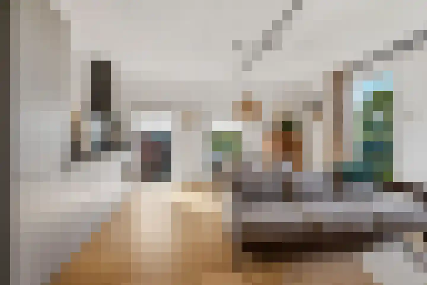 Dorpsstraat 15 g Nootdorp thumbnail 12