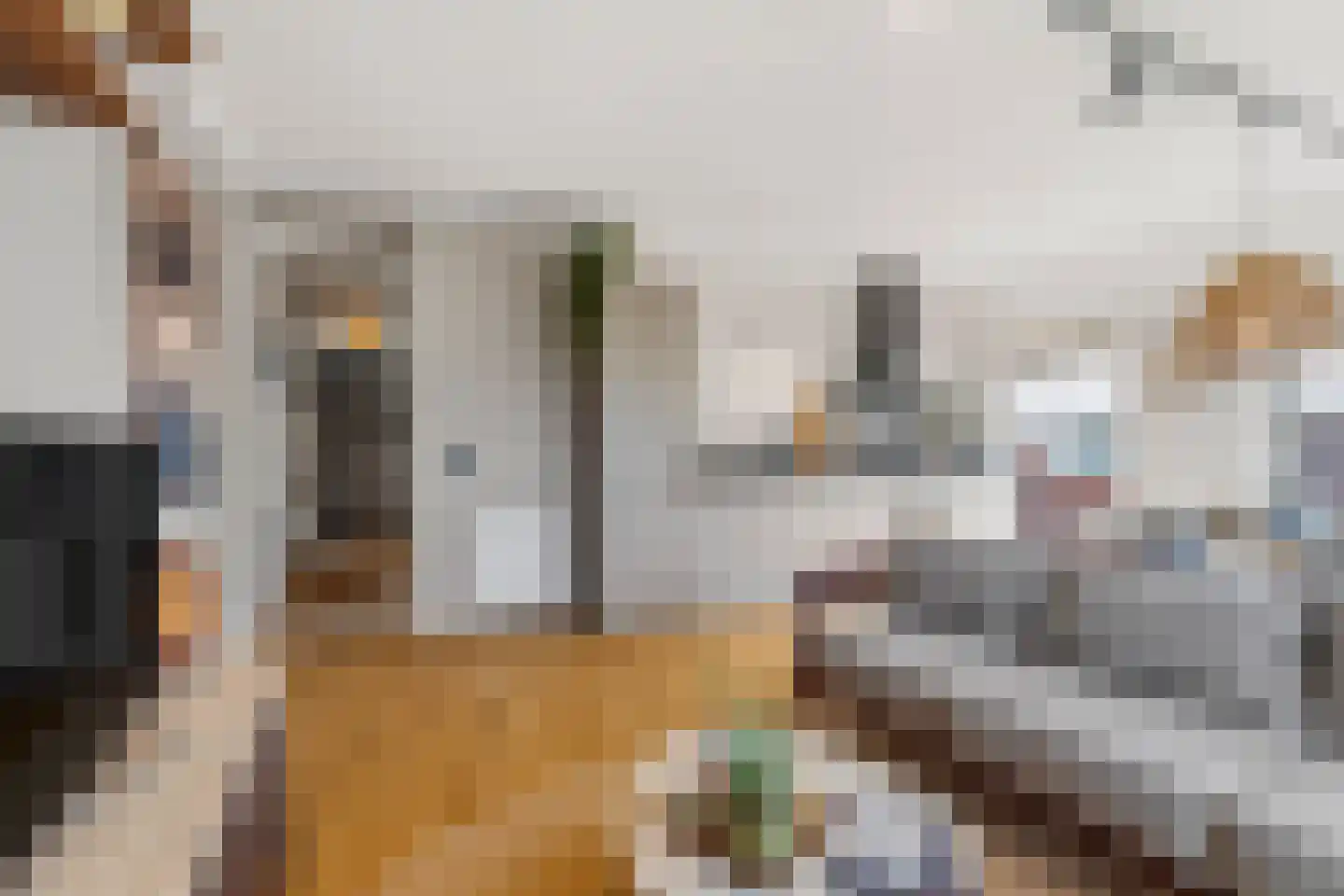 Dorpsstraat 15 g Nootdorp thumbnail 16