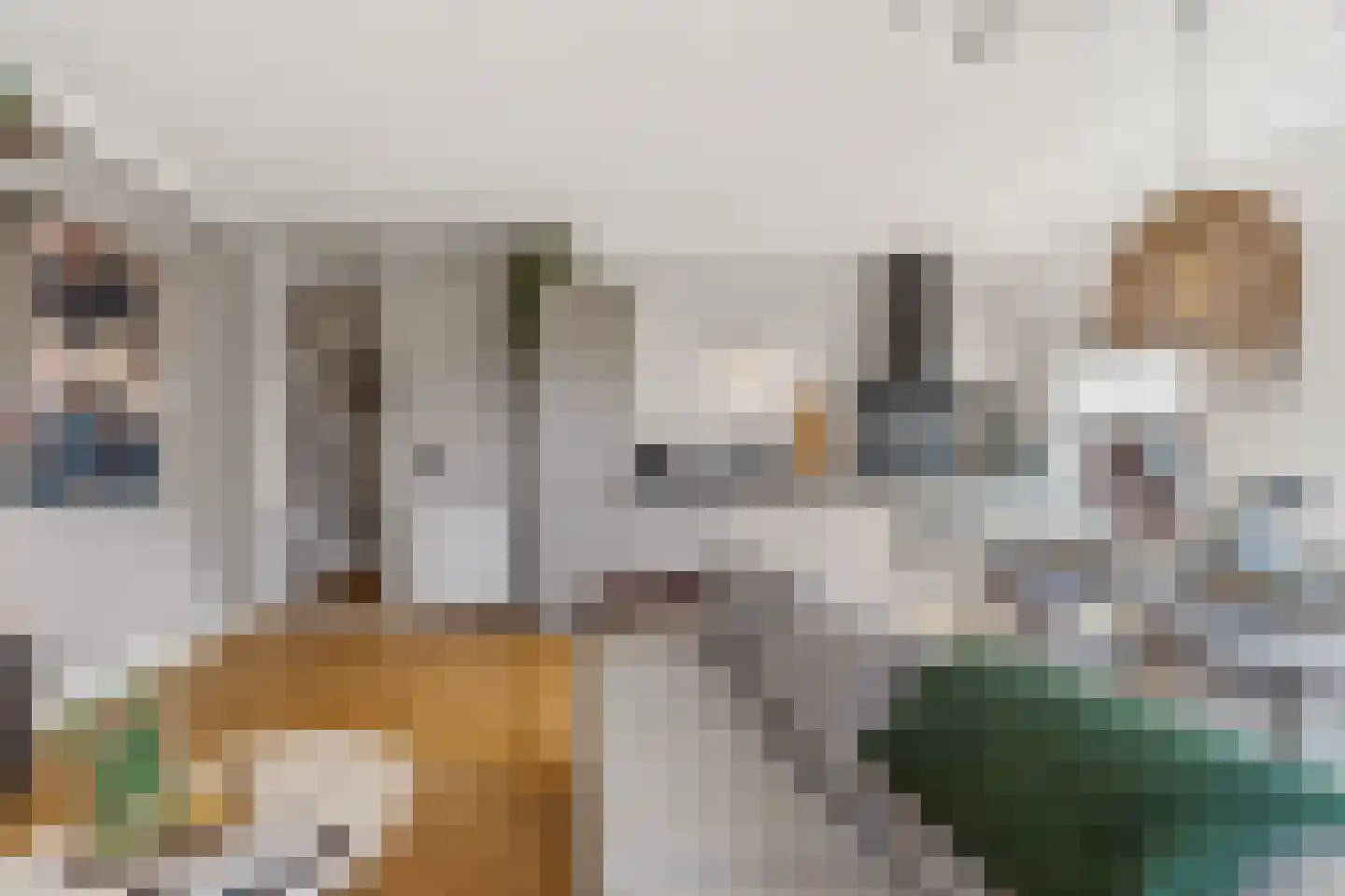 Dorpsstraat 15 g Nootdorp thumbnail 18