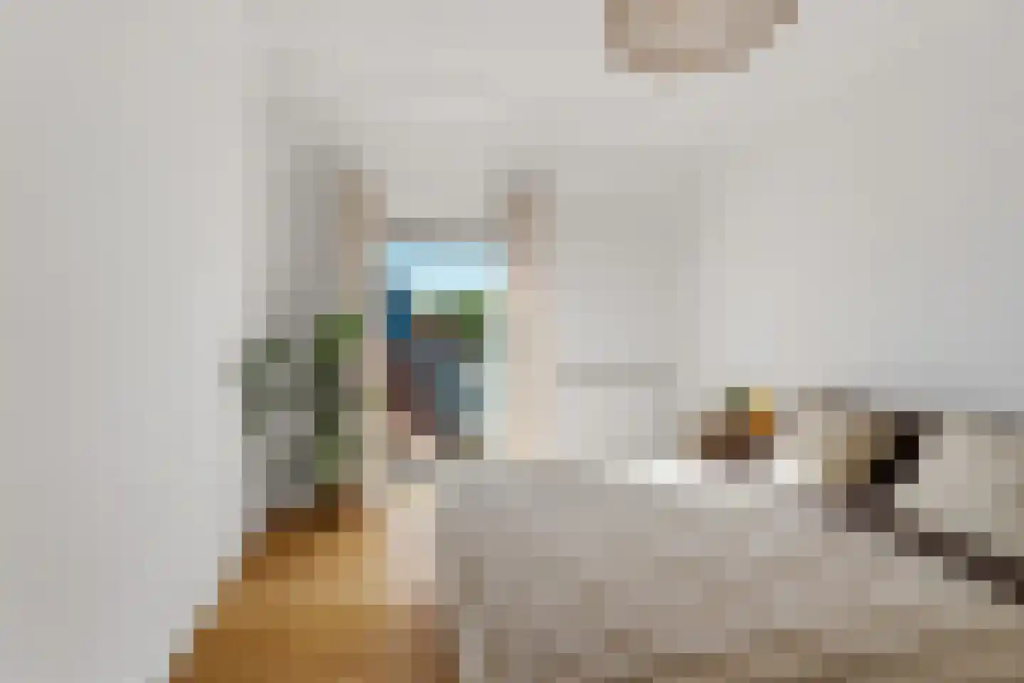 Dorpsstraat 15 g Nootdorp thumbnail 37