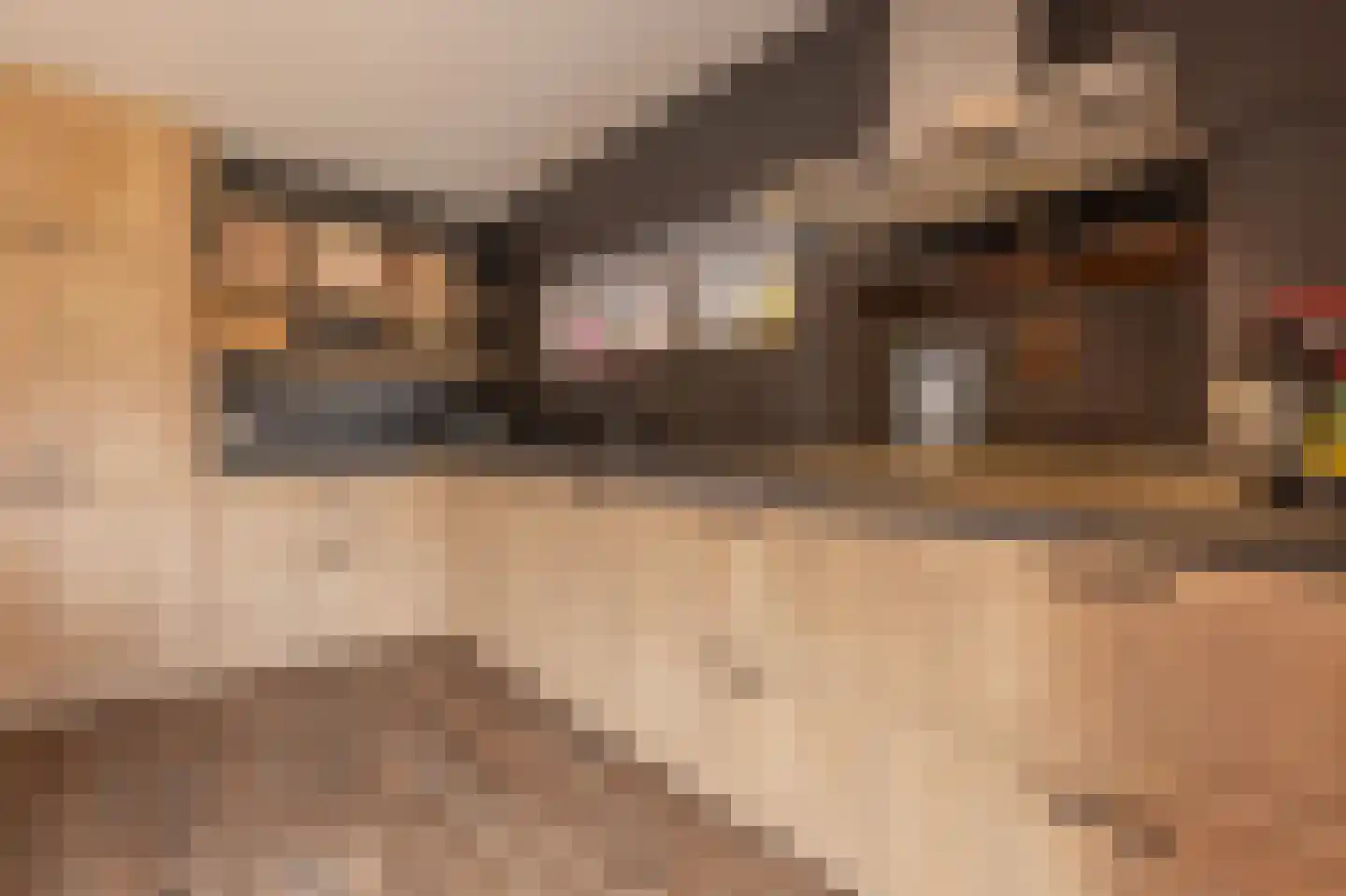 Dorpsstraat 15 Lemelerveld thumbnail 17