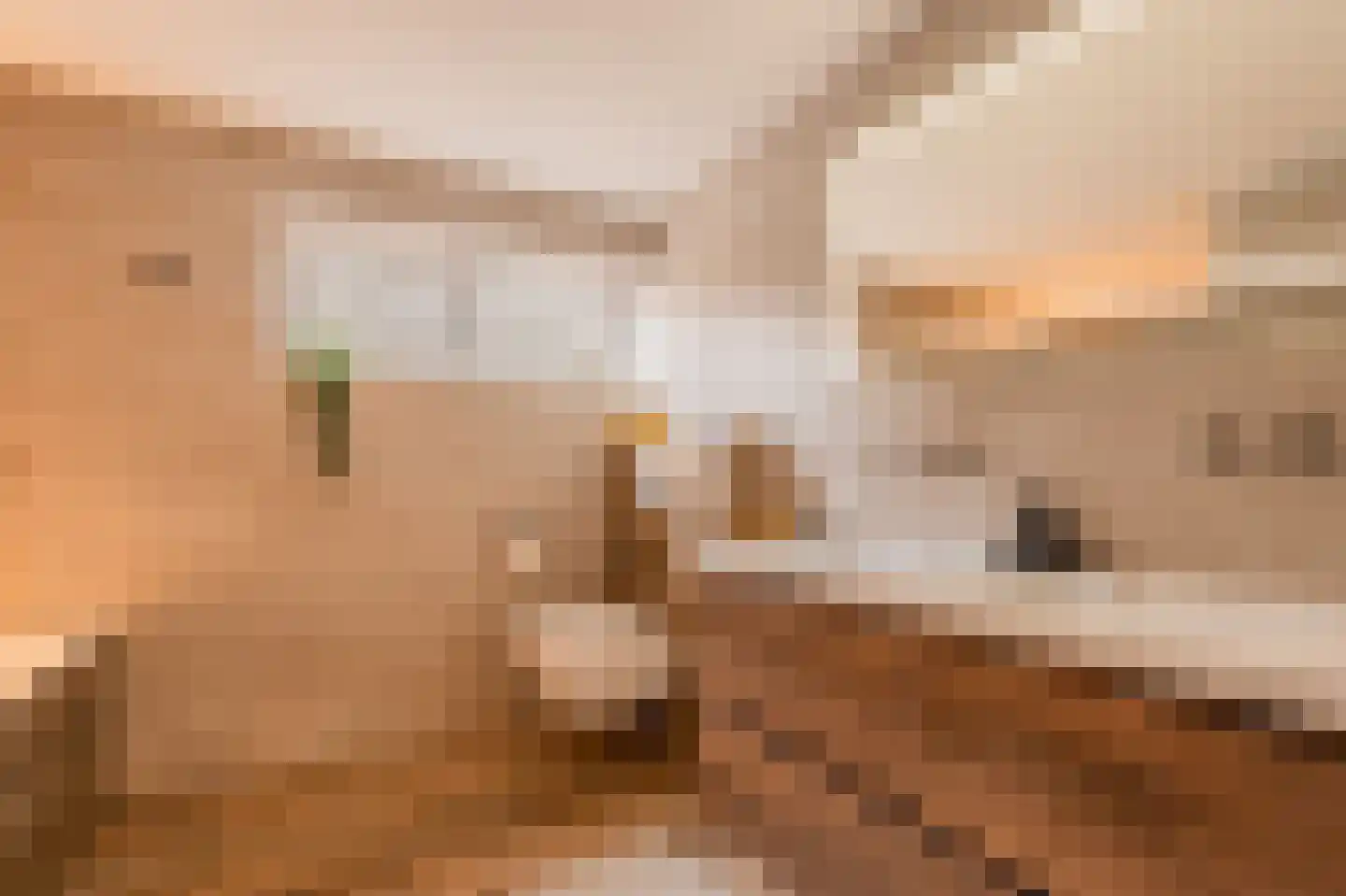Dorpsstraat 15 Lemelerveld thumbnail 29