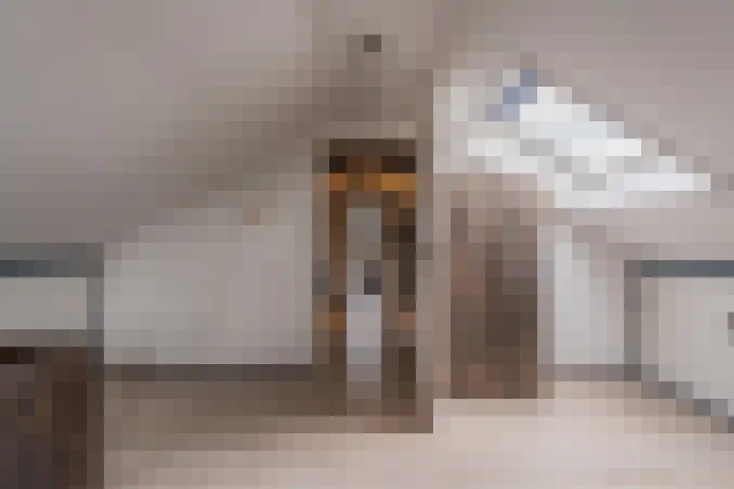 Dorpsstraat 15 Lemelerveld thumbnail 34