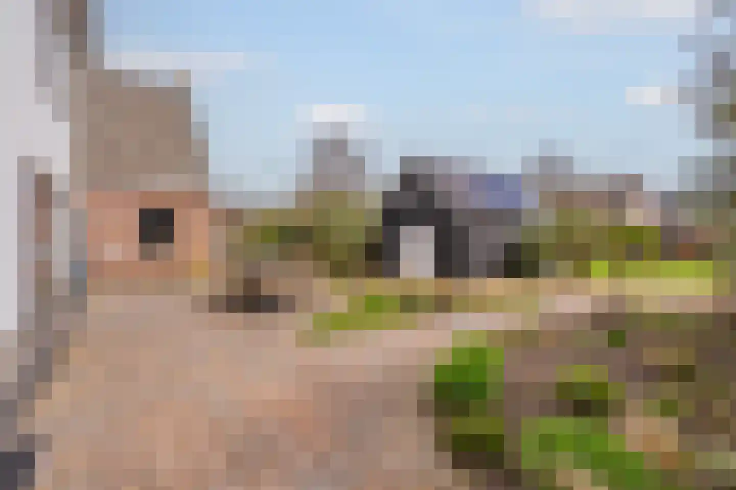 Dorpsstraat 15 Lemelerveld thumbnail 38