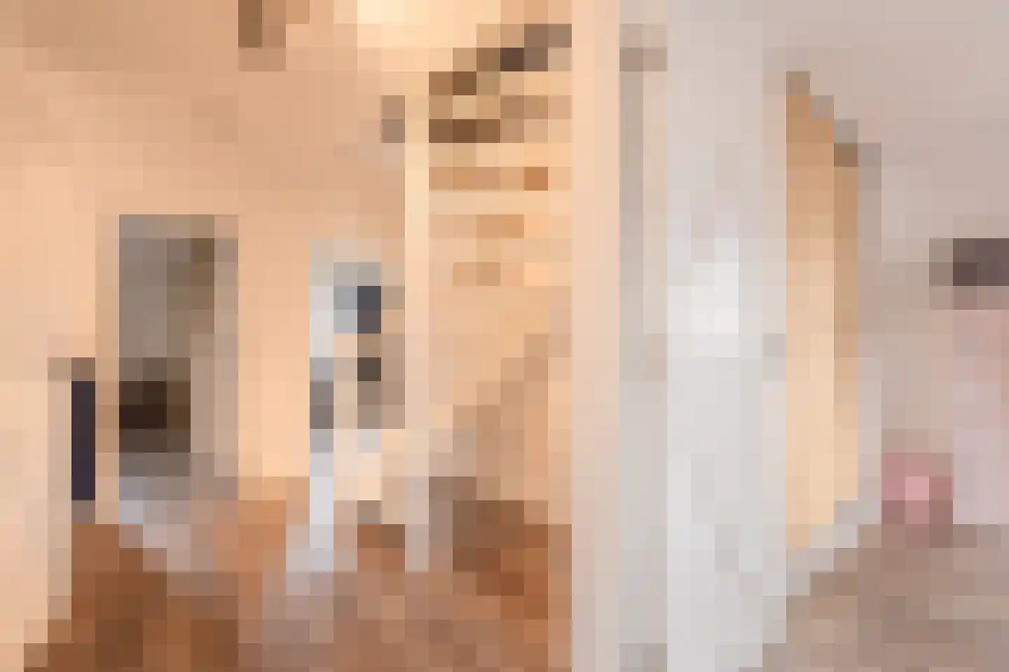 Dorpsstraat 15 Lemelerveld thumbnail 38