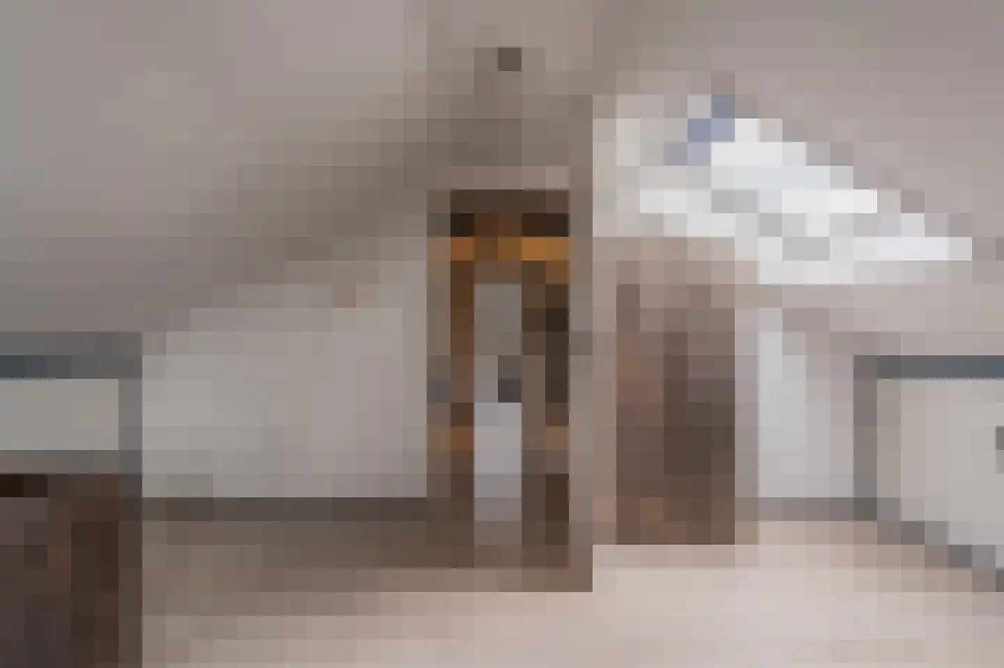 Dorpsstraat 15 Lemelerveld thumbnail 40