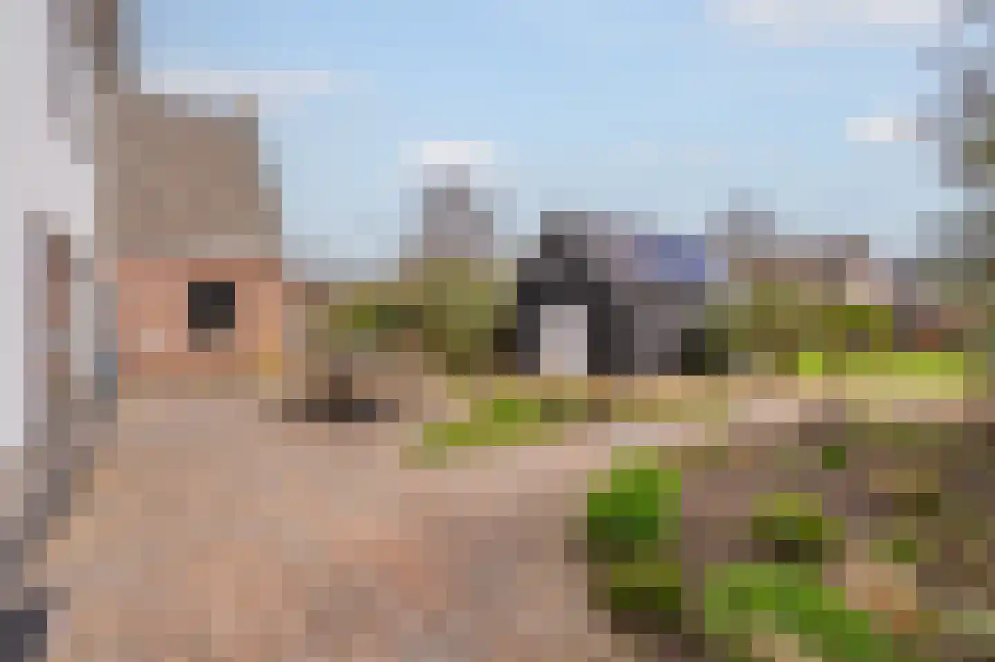 Dorpsstraat 15 Lemelerveld thumbnail 44