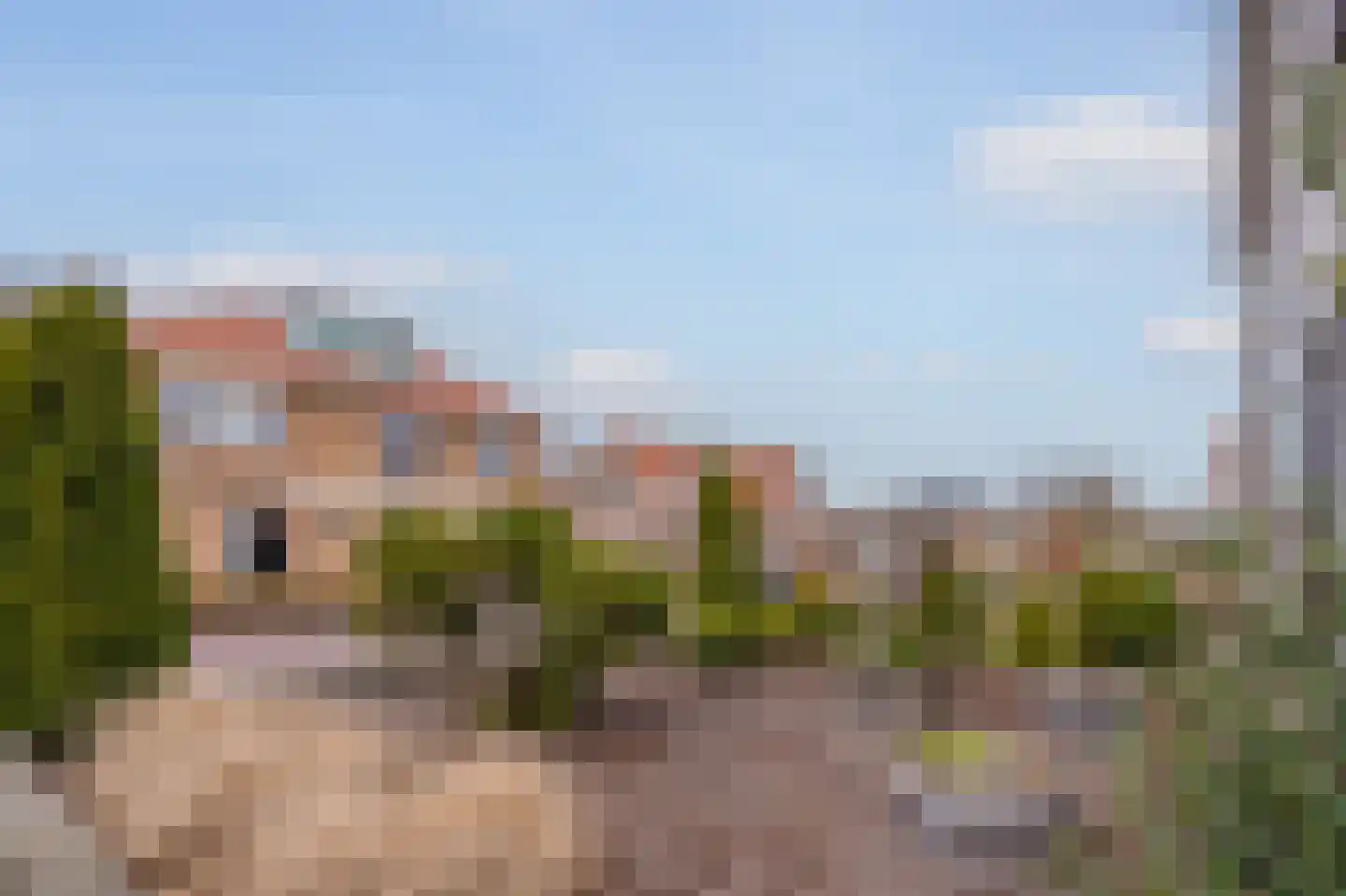 Dorpsstraat 15 Lemelerveld thumbnail 6