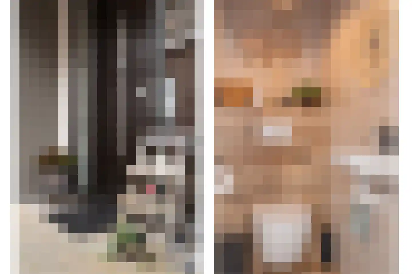 Dorpsstraat 15 Lemelerveld thumbnail 8