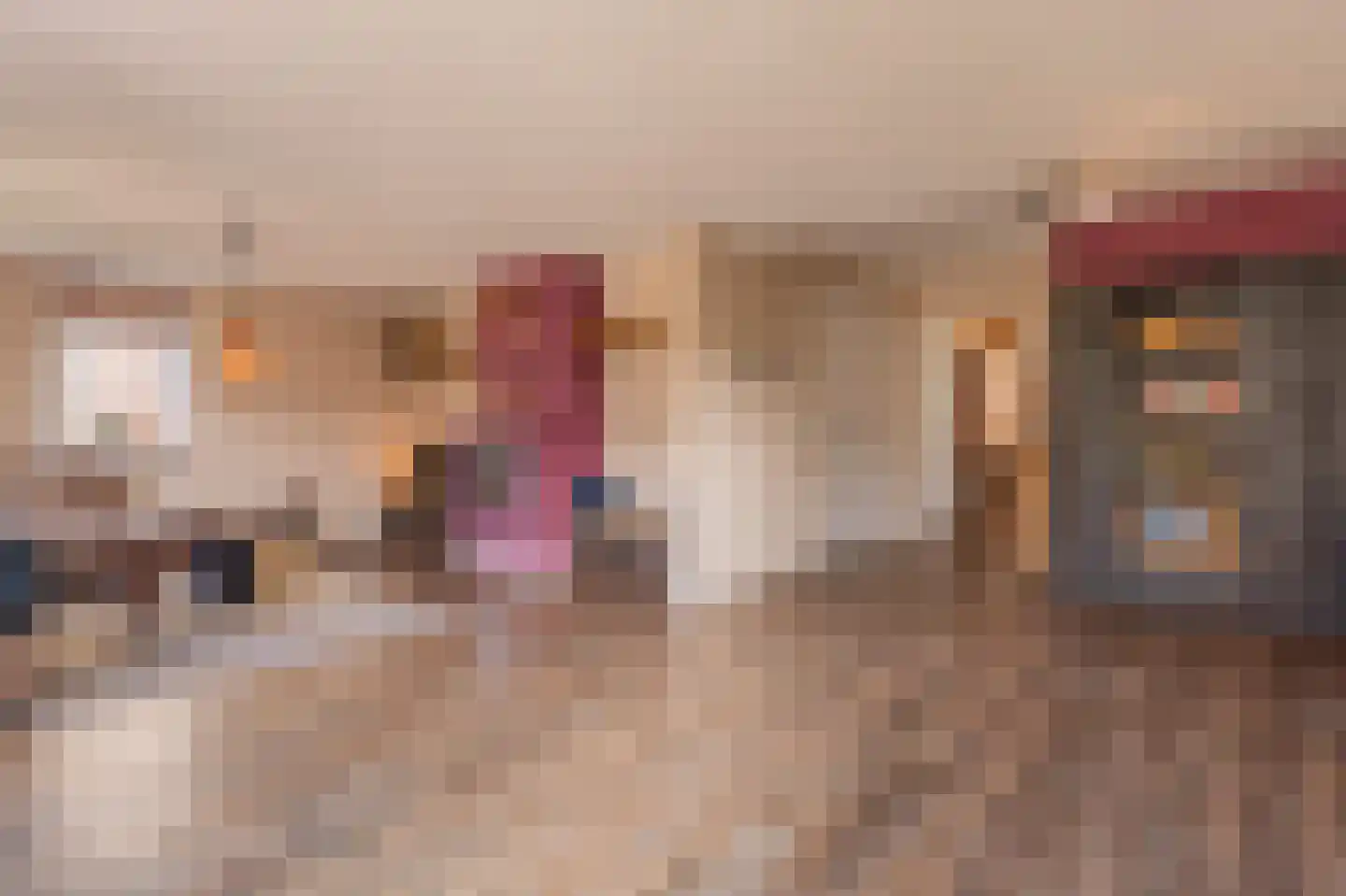 Dorpsstraat 15 Lemelerveld thumbnail 9