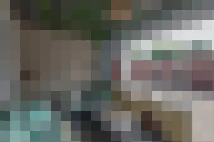 Dorpsstraat 15 Lieshout thumbnail 33