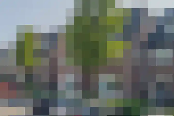 Dorpsstraat 15 Lieshout thumbnail 7