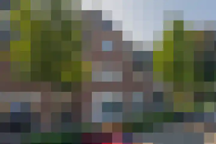 Dorpsstraat 15 Lieshout thumbnail 8