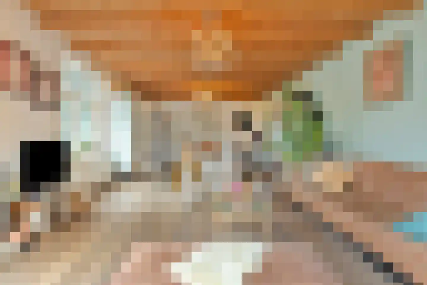 Dorpsstraat 15 Nieuwvliet thumbnail 11