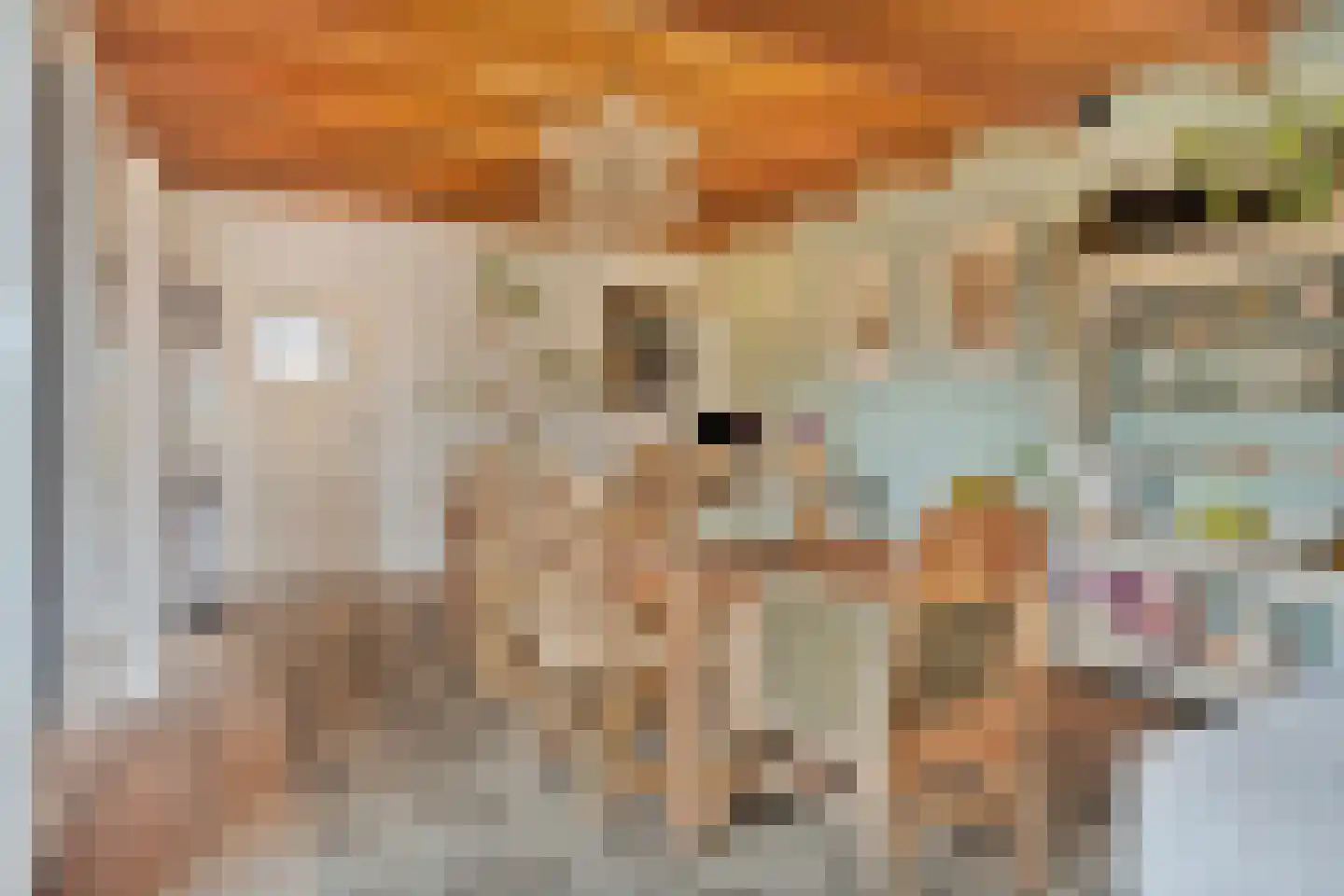 Dorpsstraat 15 Nieuwvliet thumbnail 13