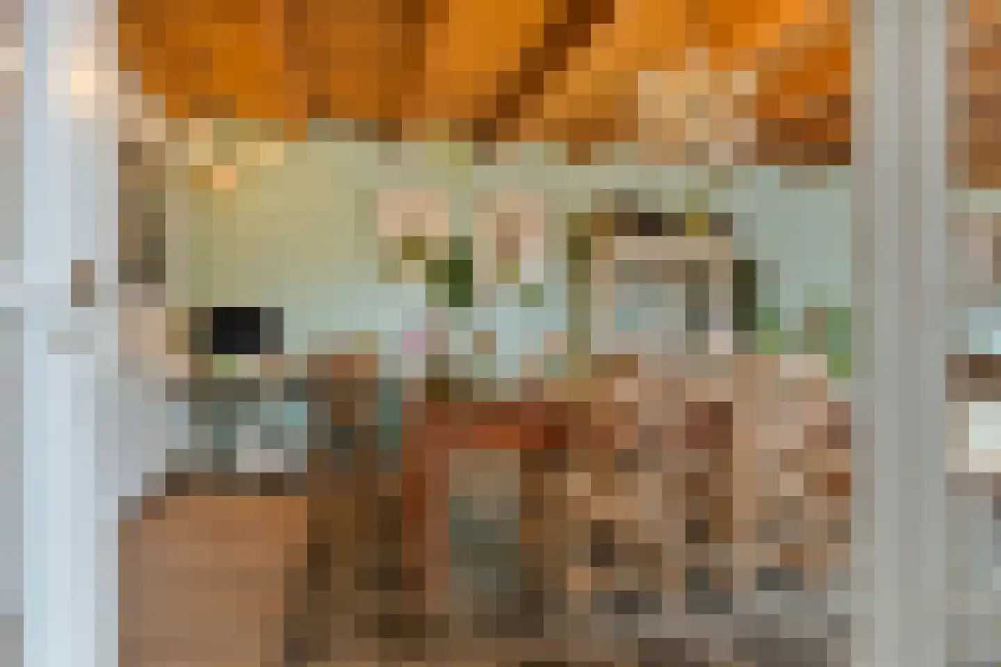 Dorpsstraat 15 Nieuwvliet thumbnail 15