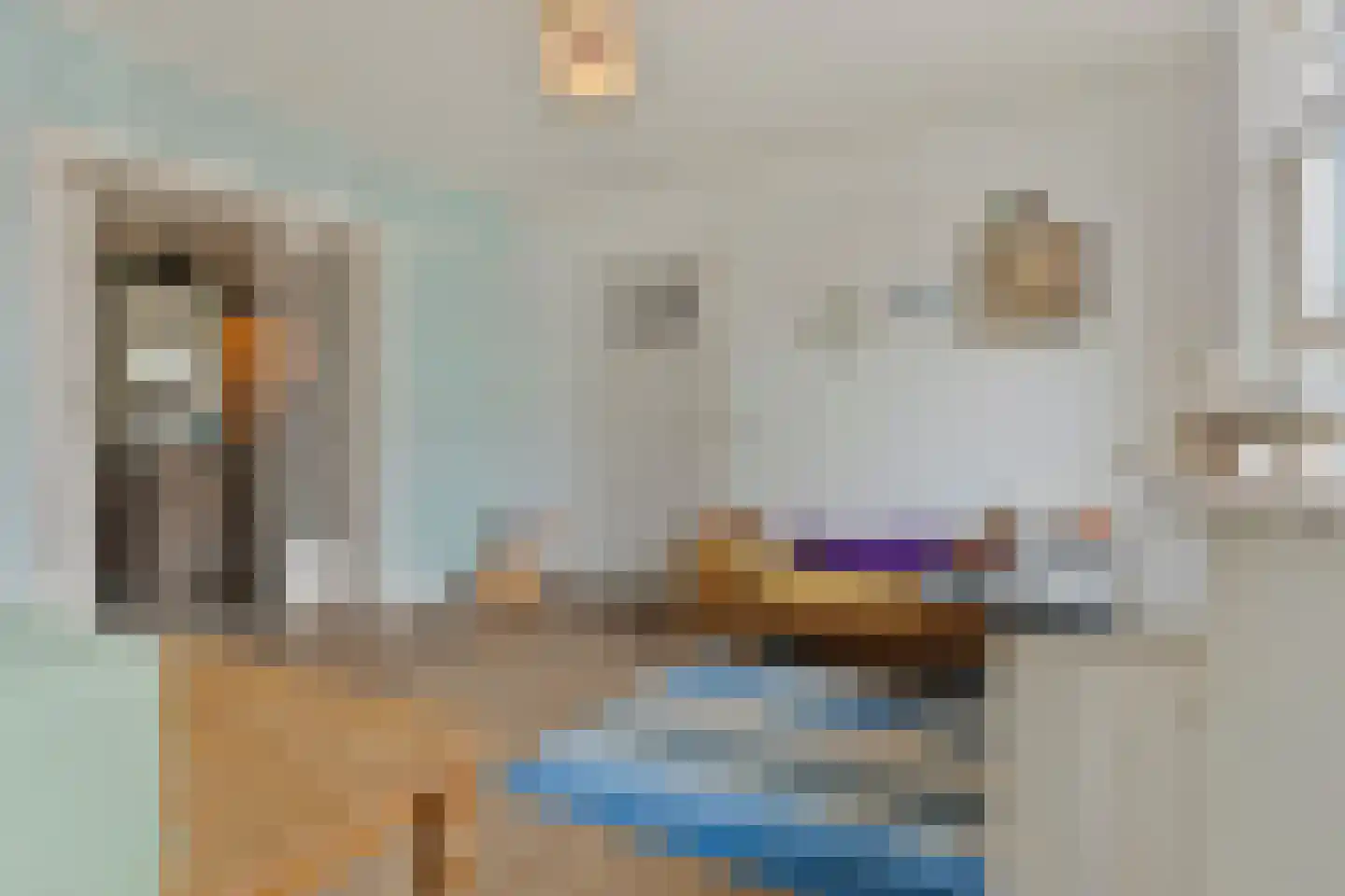 Dorpsstraat 15 Nieuwvliet thumbnail 26