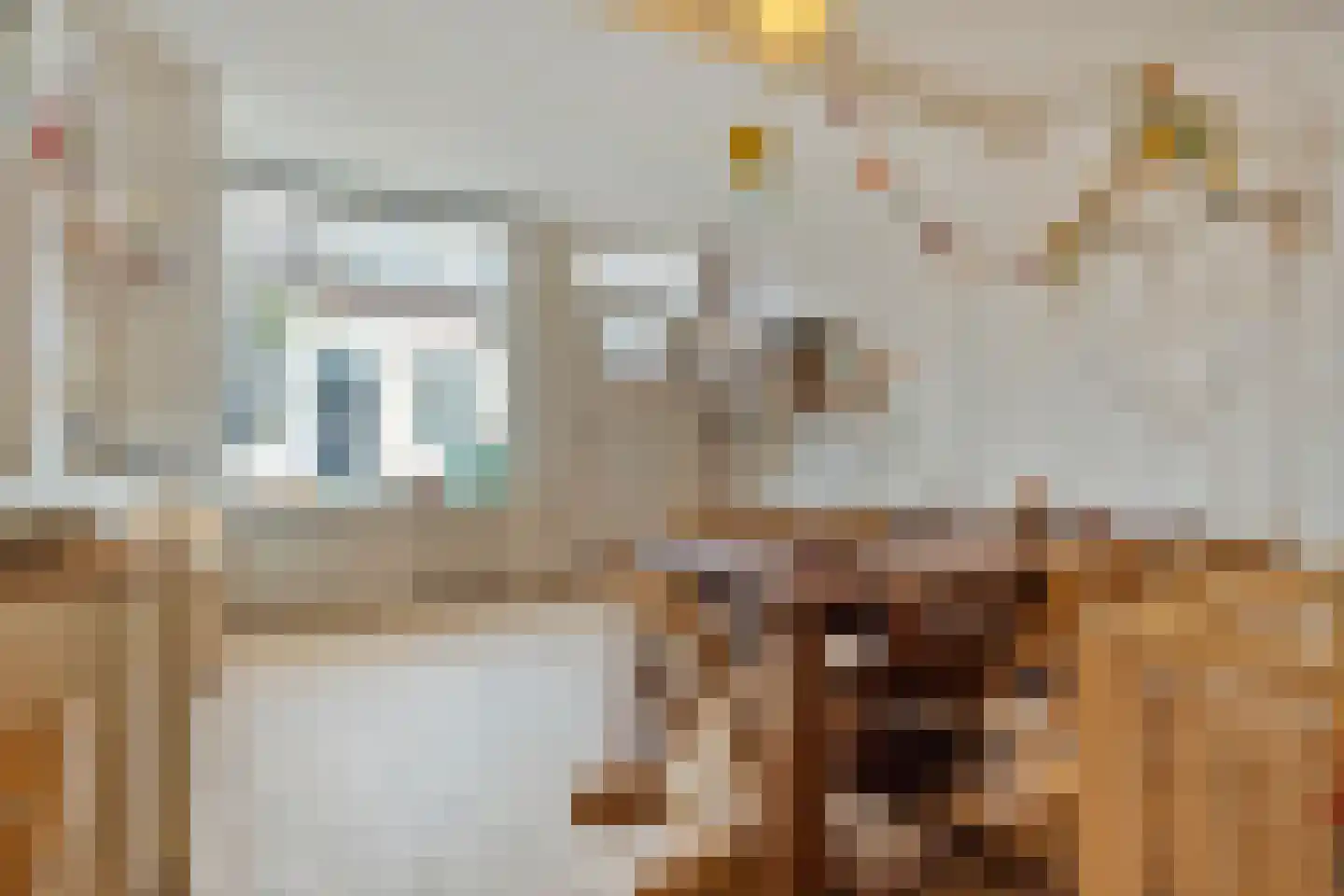 Dorpsstraat 15 Nieuwvliet thumbnail 27