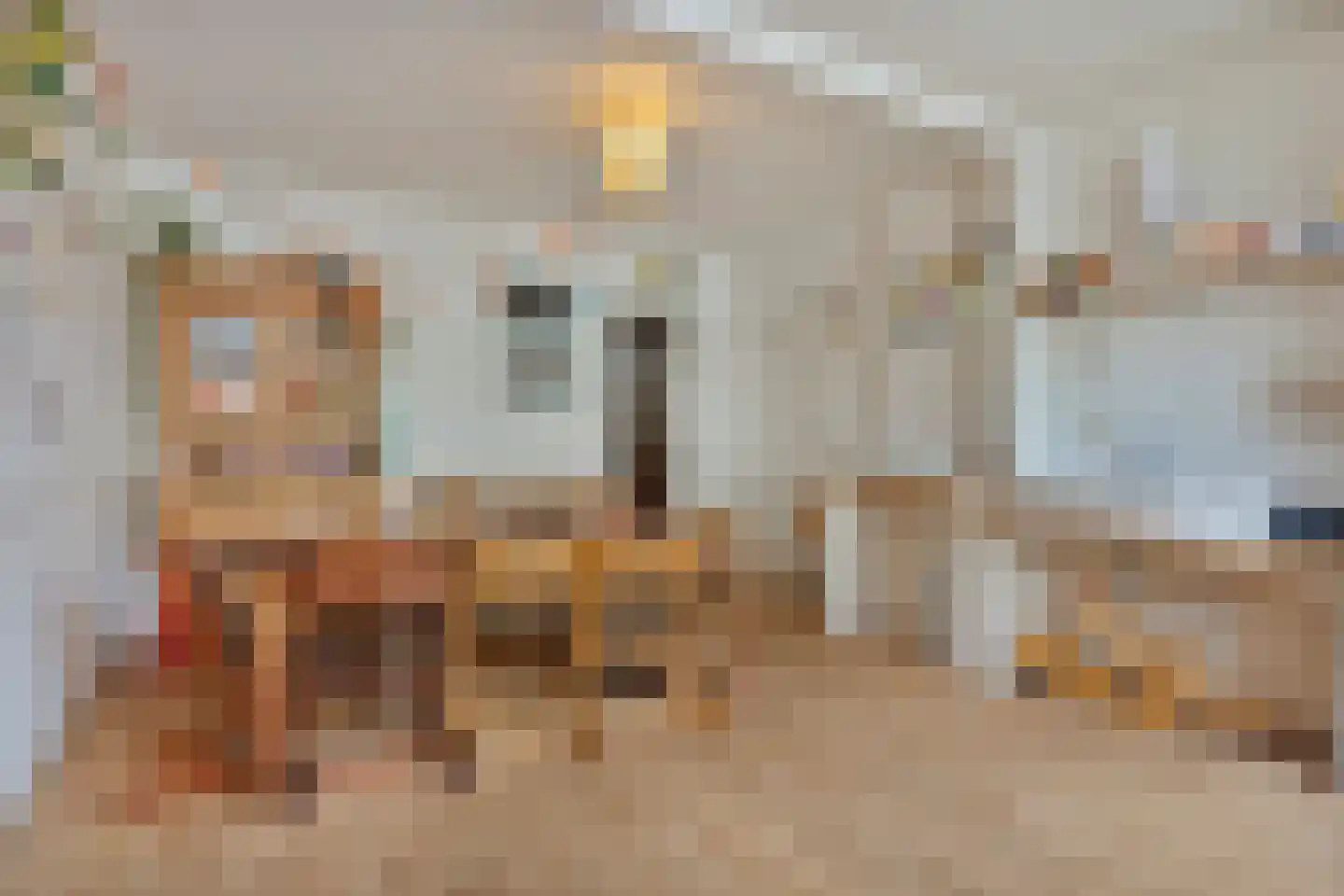 Dorpsstraat 15 Nieuwvliet thumbnail 29