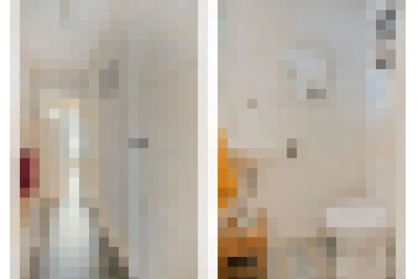 Dorpsstraat 15 Nieuwvliet thumbnail 31