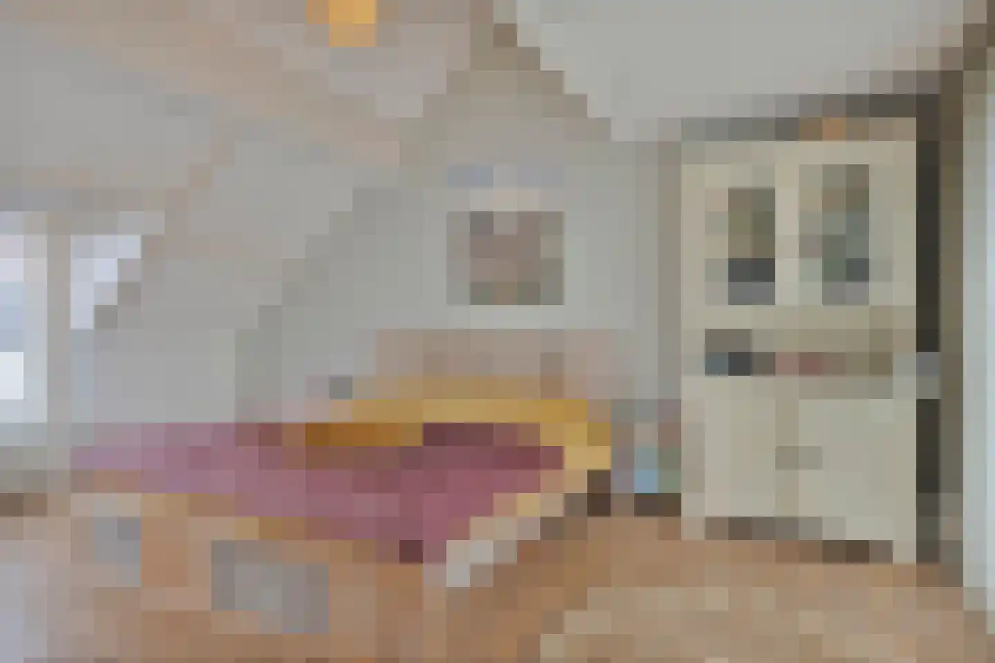 Dorpsstraat 15 Nieuwvliet thumbnail 33