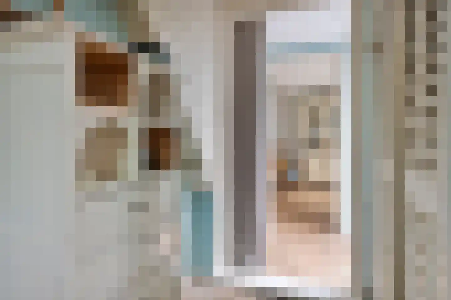 Dorpsstraat 15 Nieuwvliet thumbnail 34