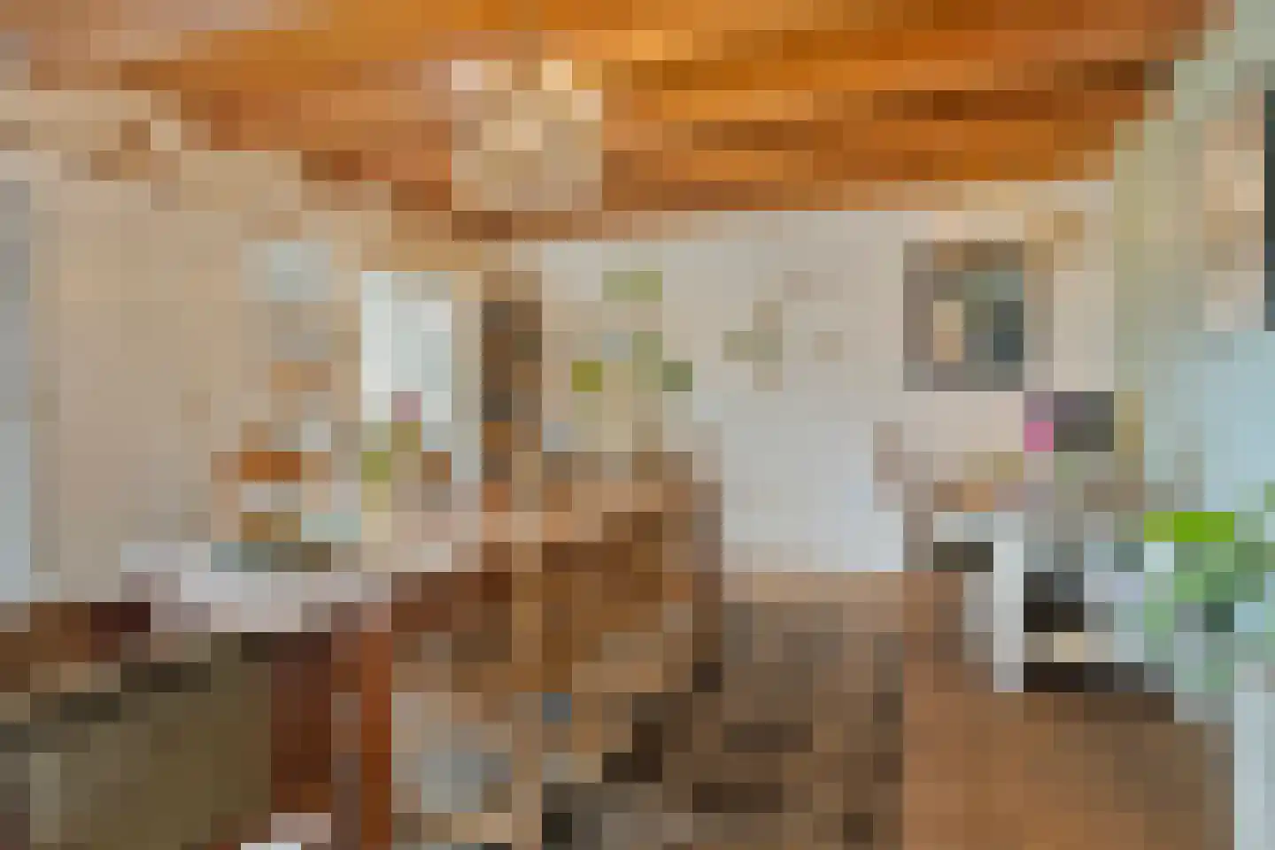 Dorpsstraat 15 Nieuwvliet thumbnail 5