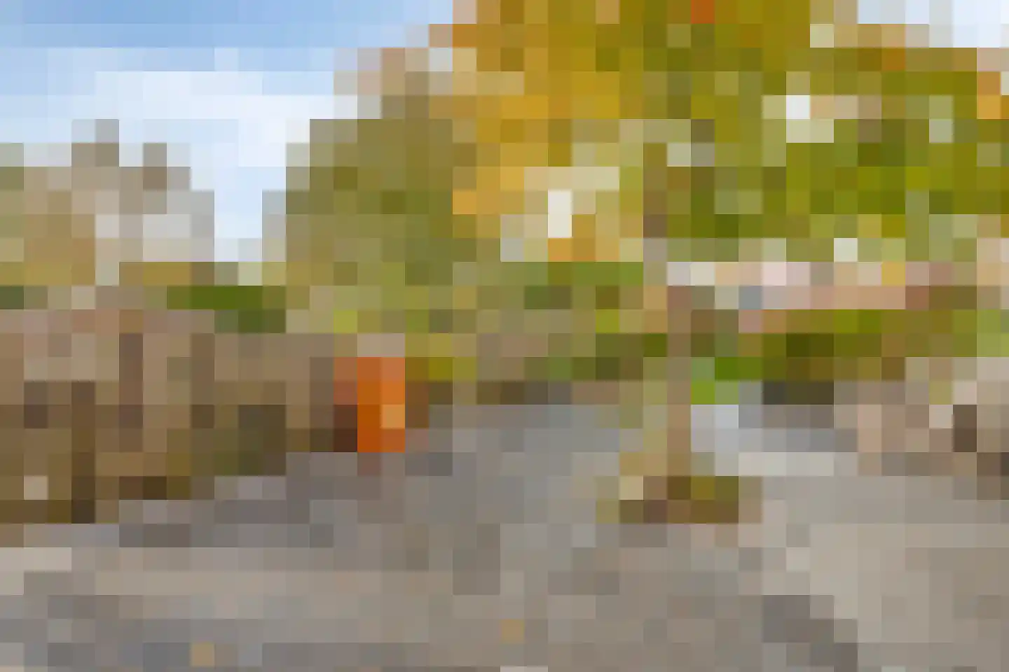 Dorpsstraat 15 Nieuwvliet thumbnail 54