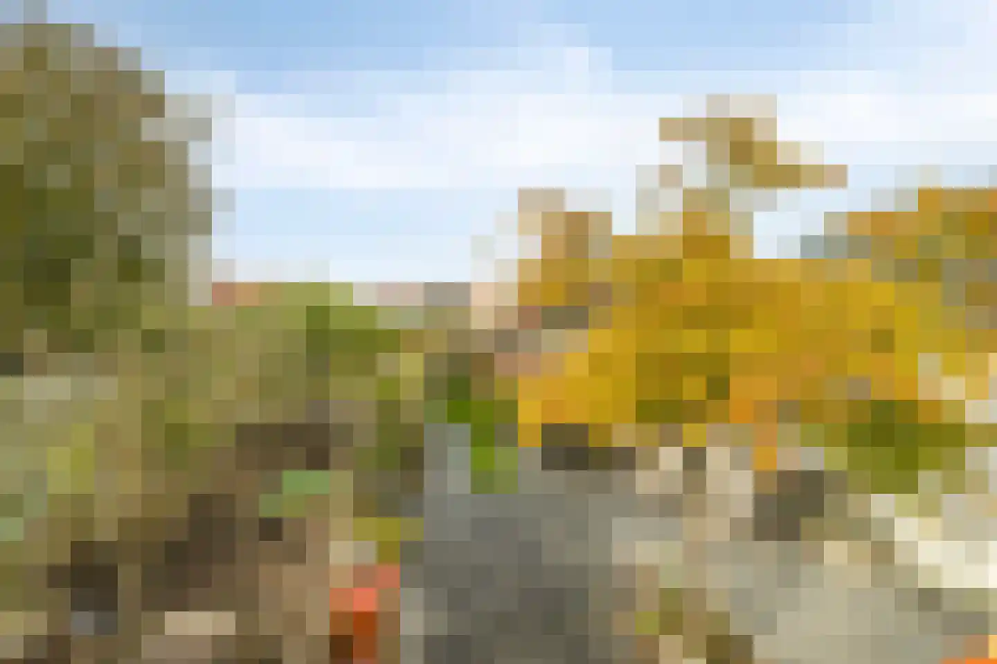 Dorpsstraat 15 Nieuwvliet thumbnail 56