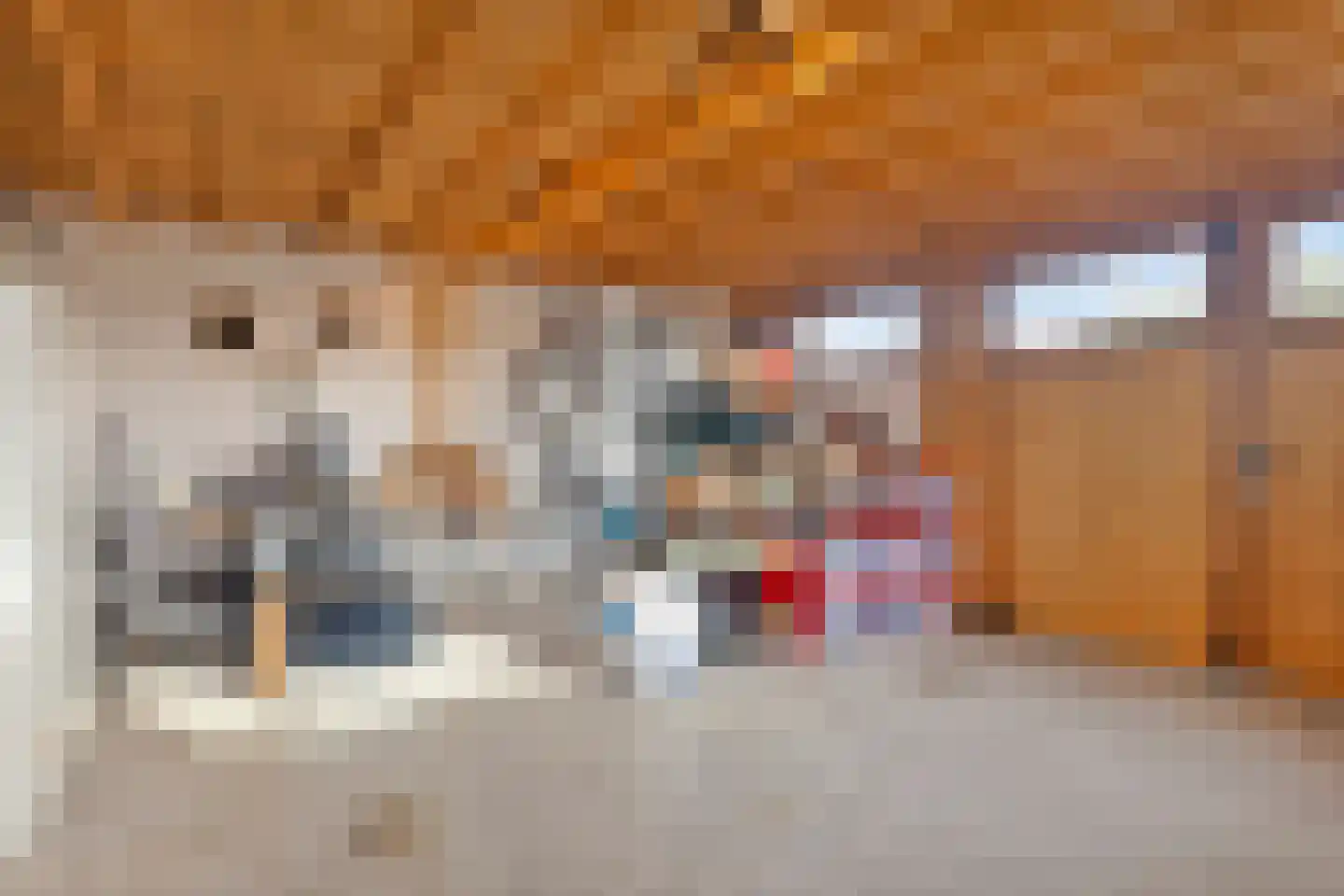 Dorpsstraat 15 Nieuwvliet thumbnail 58