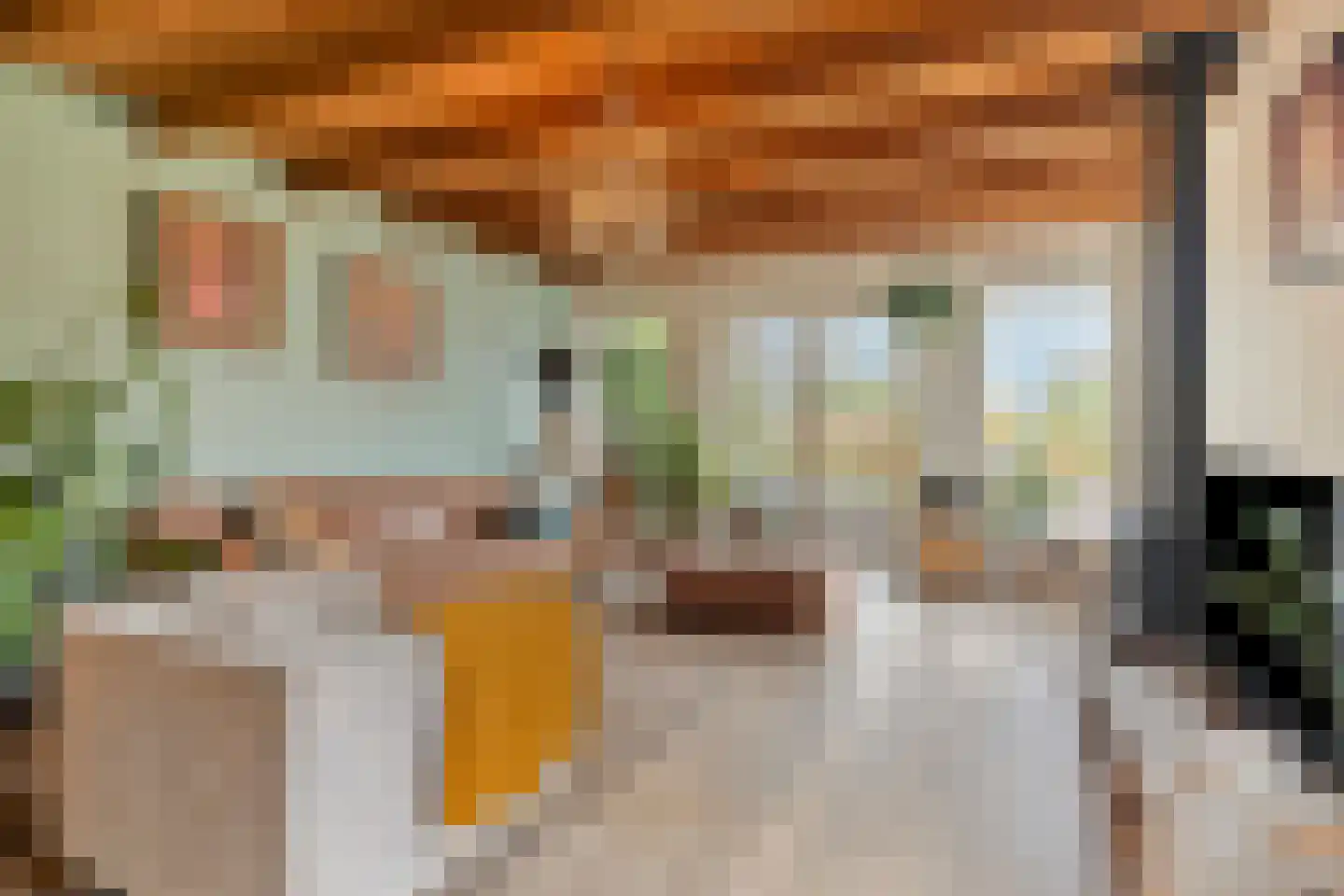 Dorpsstraat 15 Nieuwvliet thumbnail 7