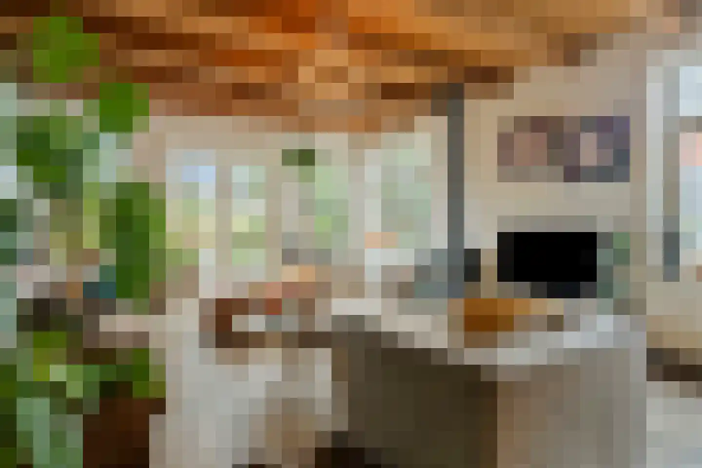 Dorpsstraat 15 Nieuwvliet thumbnail 8