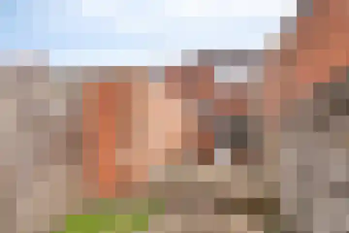 Dorpsstraat 15 Ossendrecht thumbnail 17