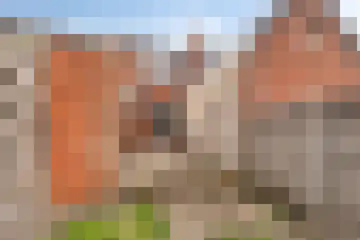 Dorpsstraat 15 Ossendrecht thumbnail 18
