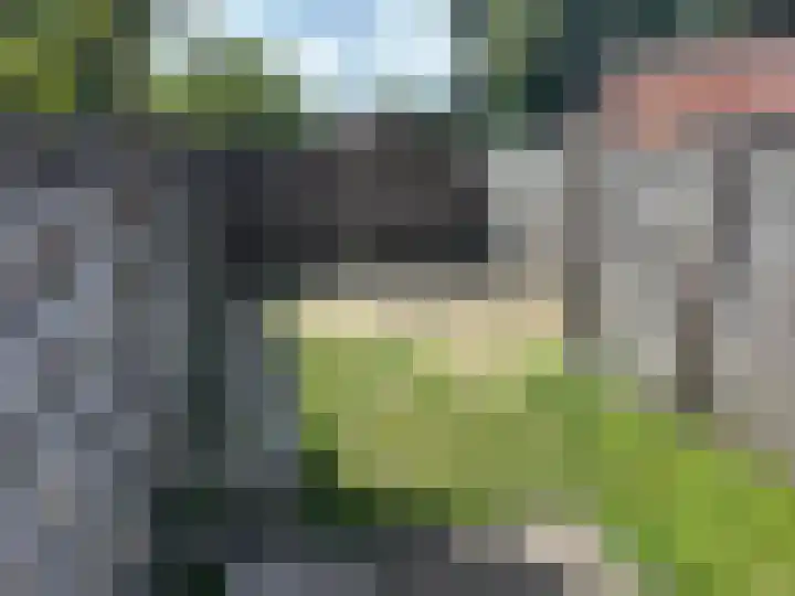 Dorpsstraat 15 Ossendrecht thumbnail 20