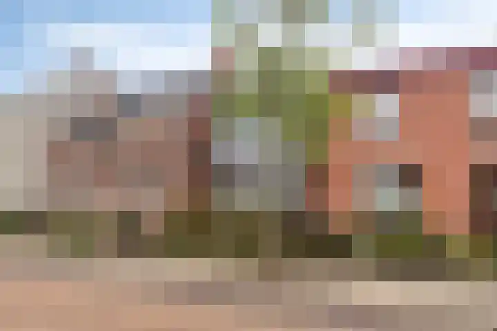 Dorpsstraat 15 Ossendrecht thumbnail 22