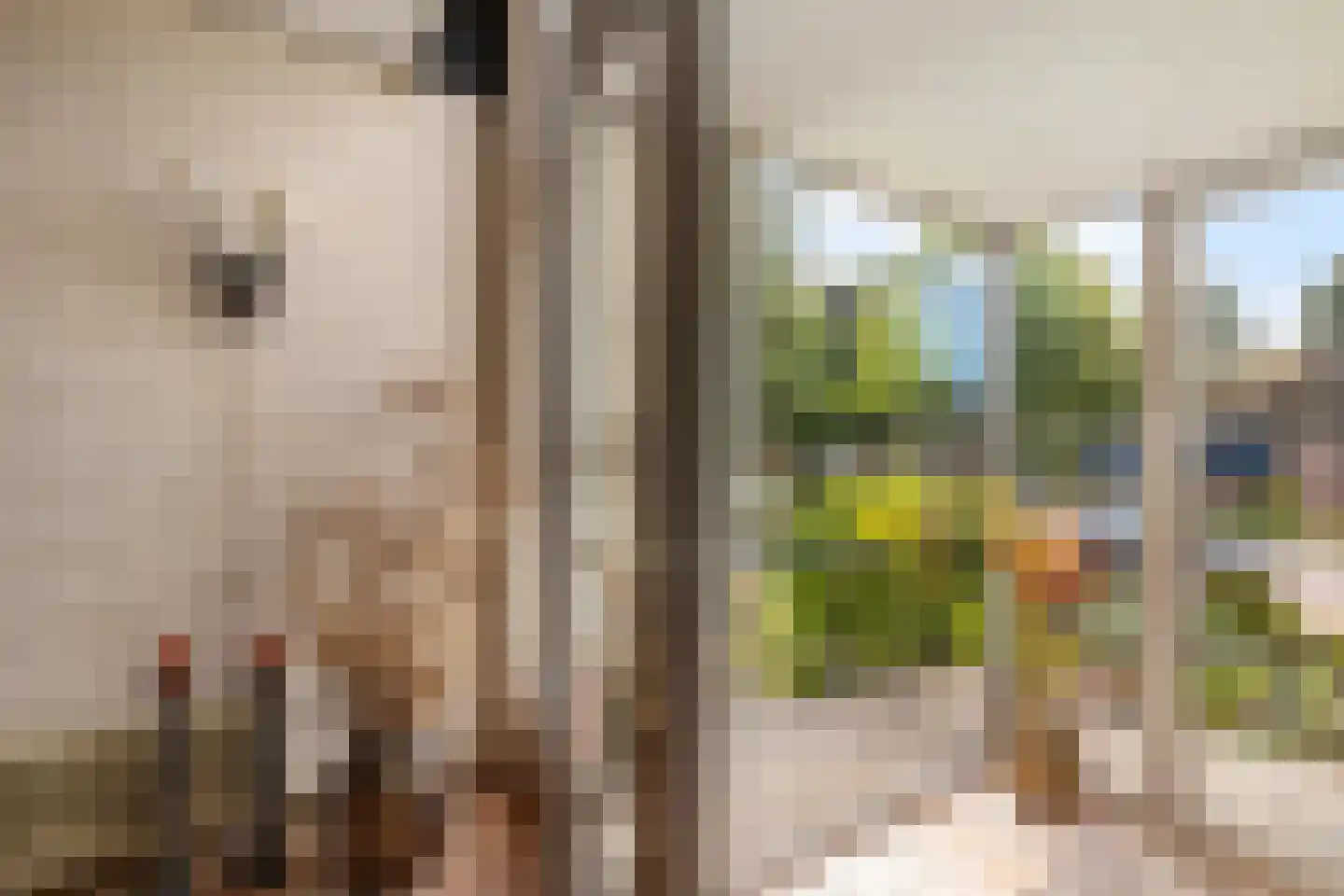 Dorpsstraat 15 Sellingen thumbnail 21