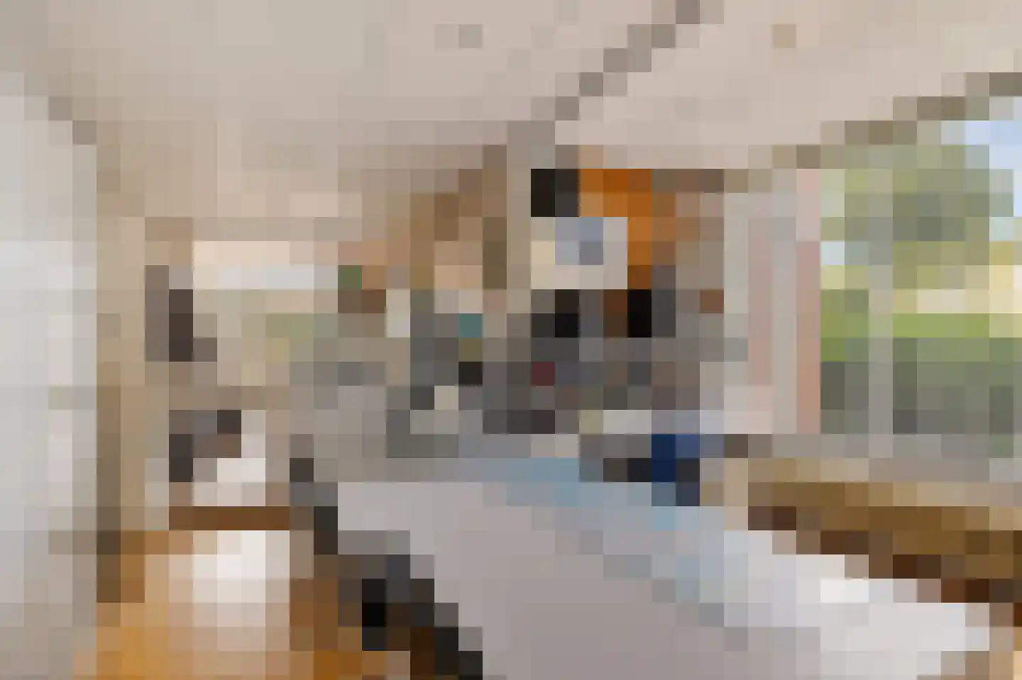 Dorpsstraat 15 Sellingen thumbnail 23