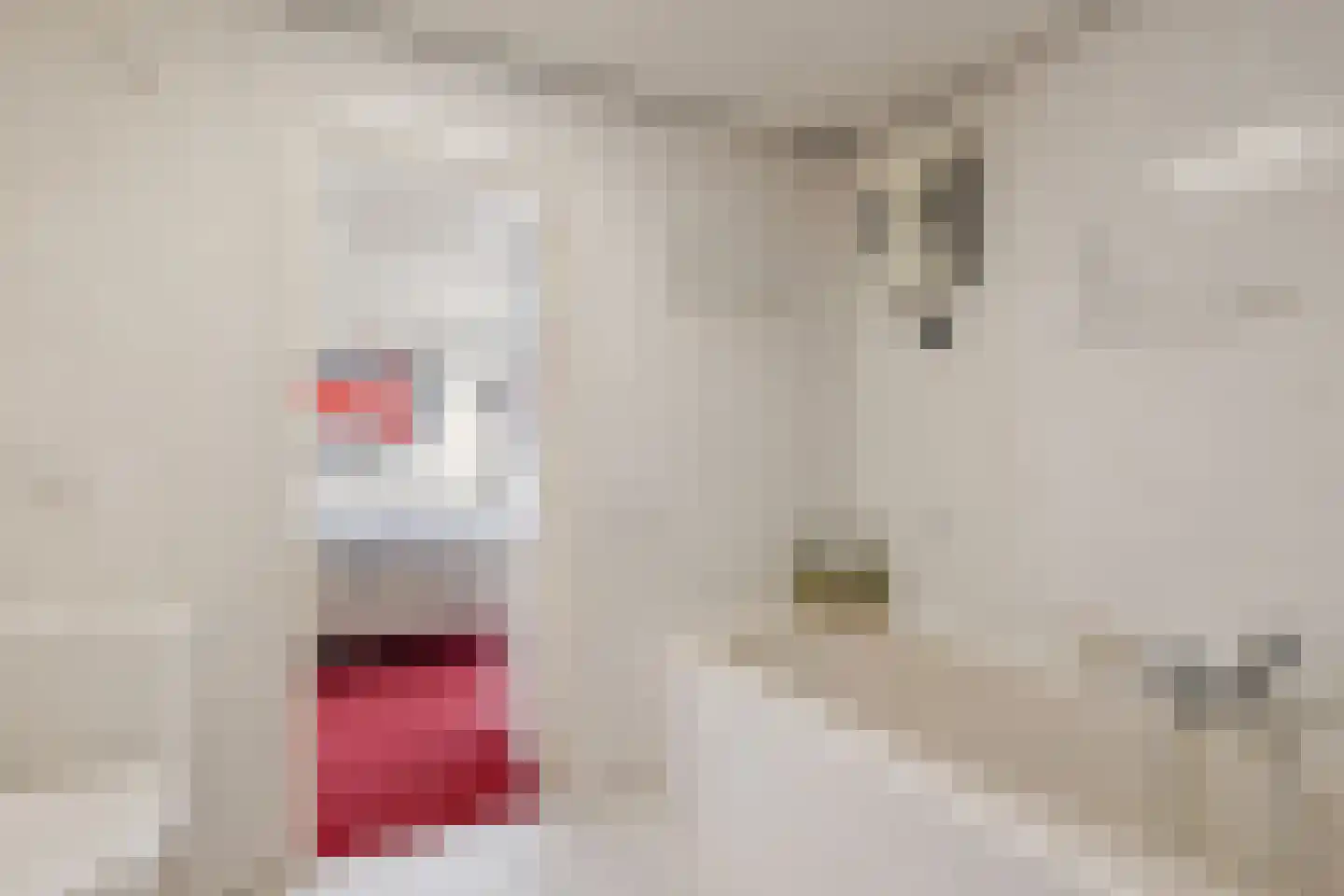Dorpsstraat 15 Sellingen thumbnail 29