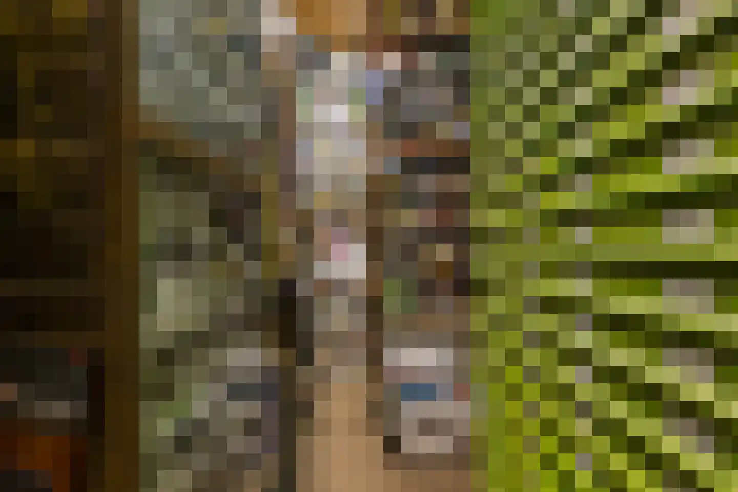 Dorpsstraat 15 Sellingen thumbnail 34