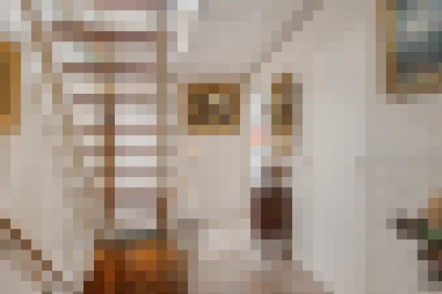 Dorpsstraat 15 Sellingen thumbnail 35