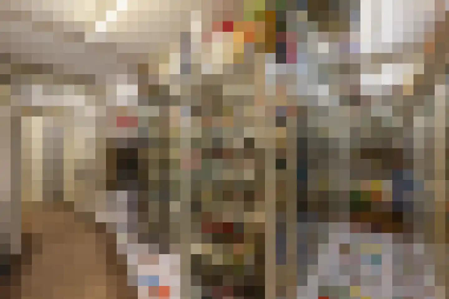 Dorpsstraat 15 Sellingen thumbnail 36