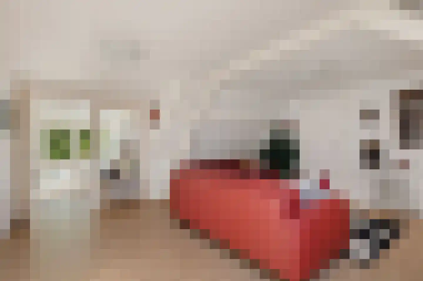 Dorpsstraat 15 Sellingen thumbnail 41