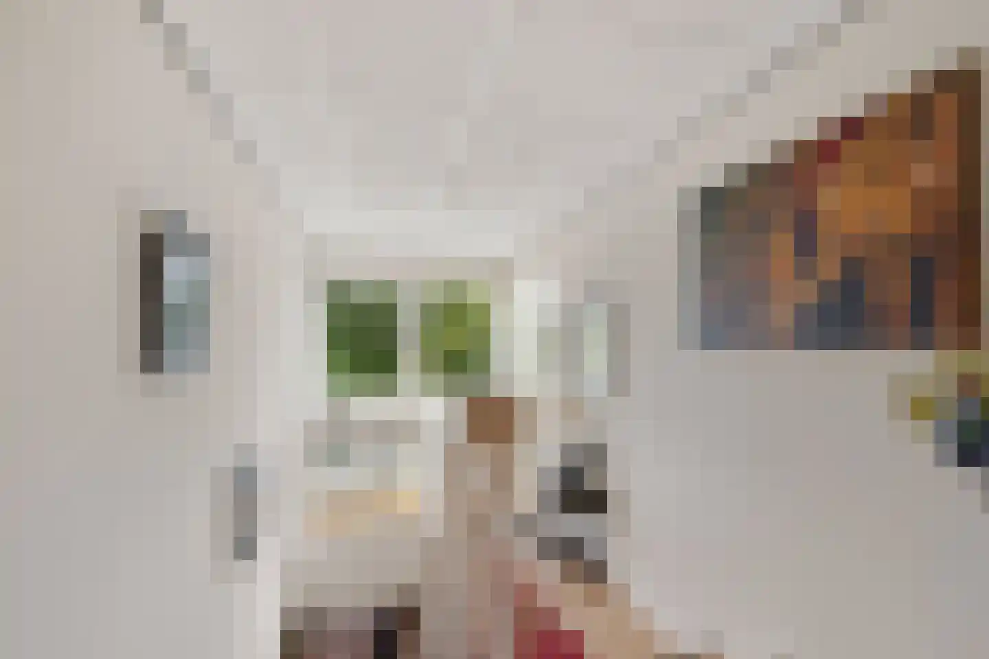 Dorpsstraat 15 Sellingen thumbnail 44