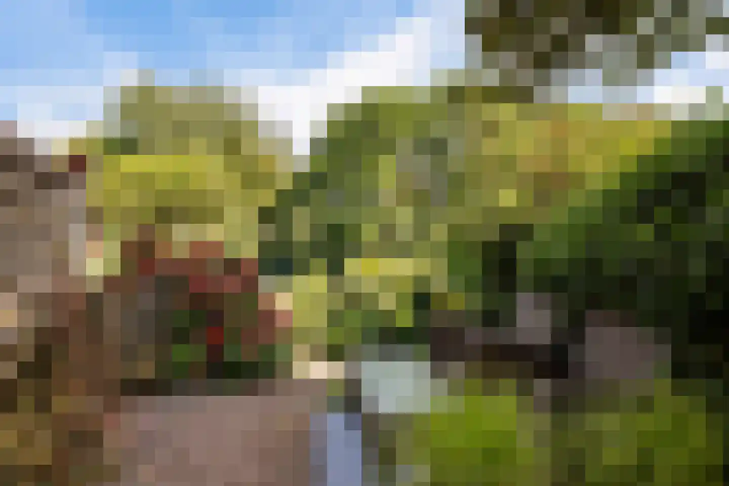 Dorpsstraat 15 Sellingen thumbnail 51