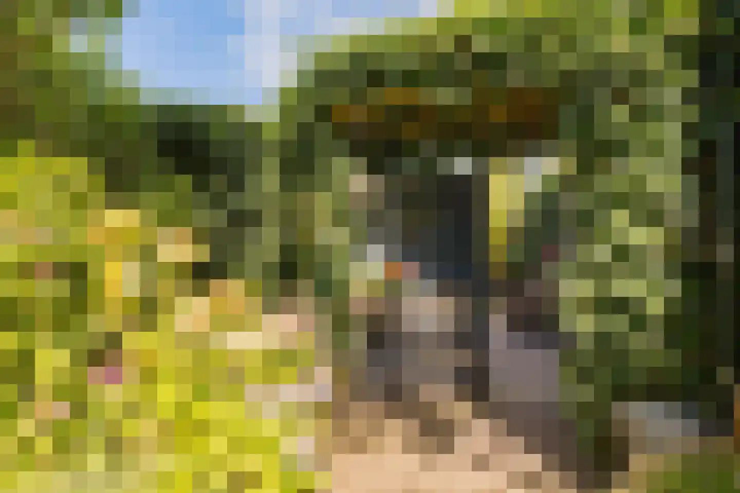 Dorpsstraat 15 Sellingen thumbnail 6
