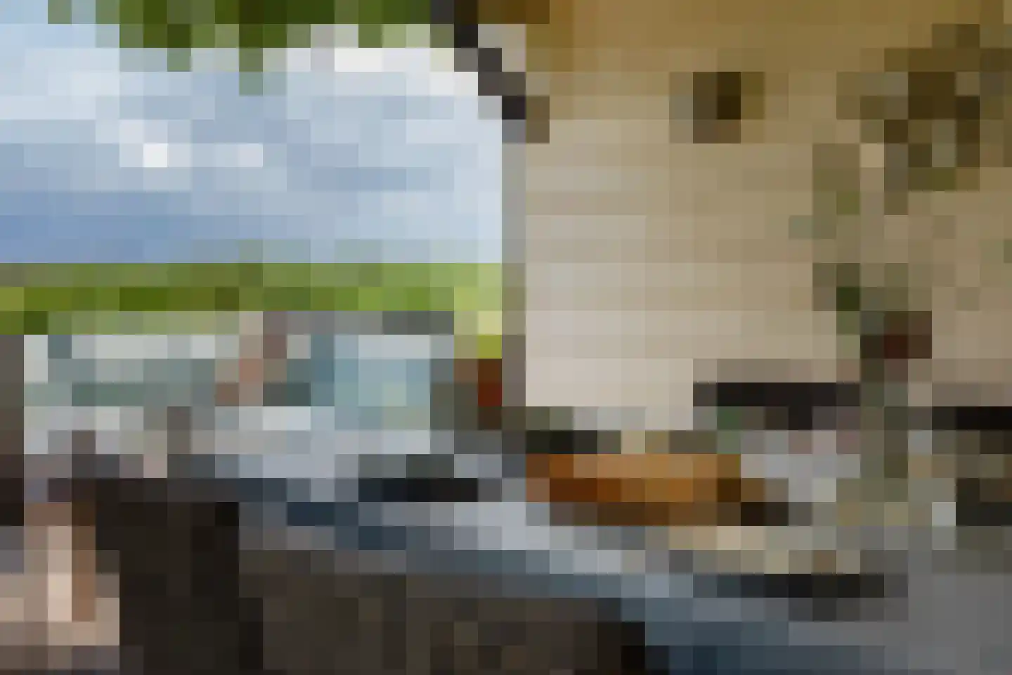 Dorpsstraat 15 Watergang thumbnail 36