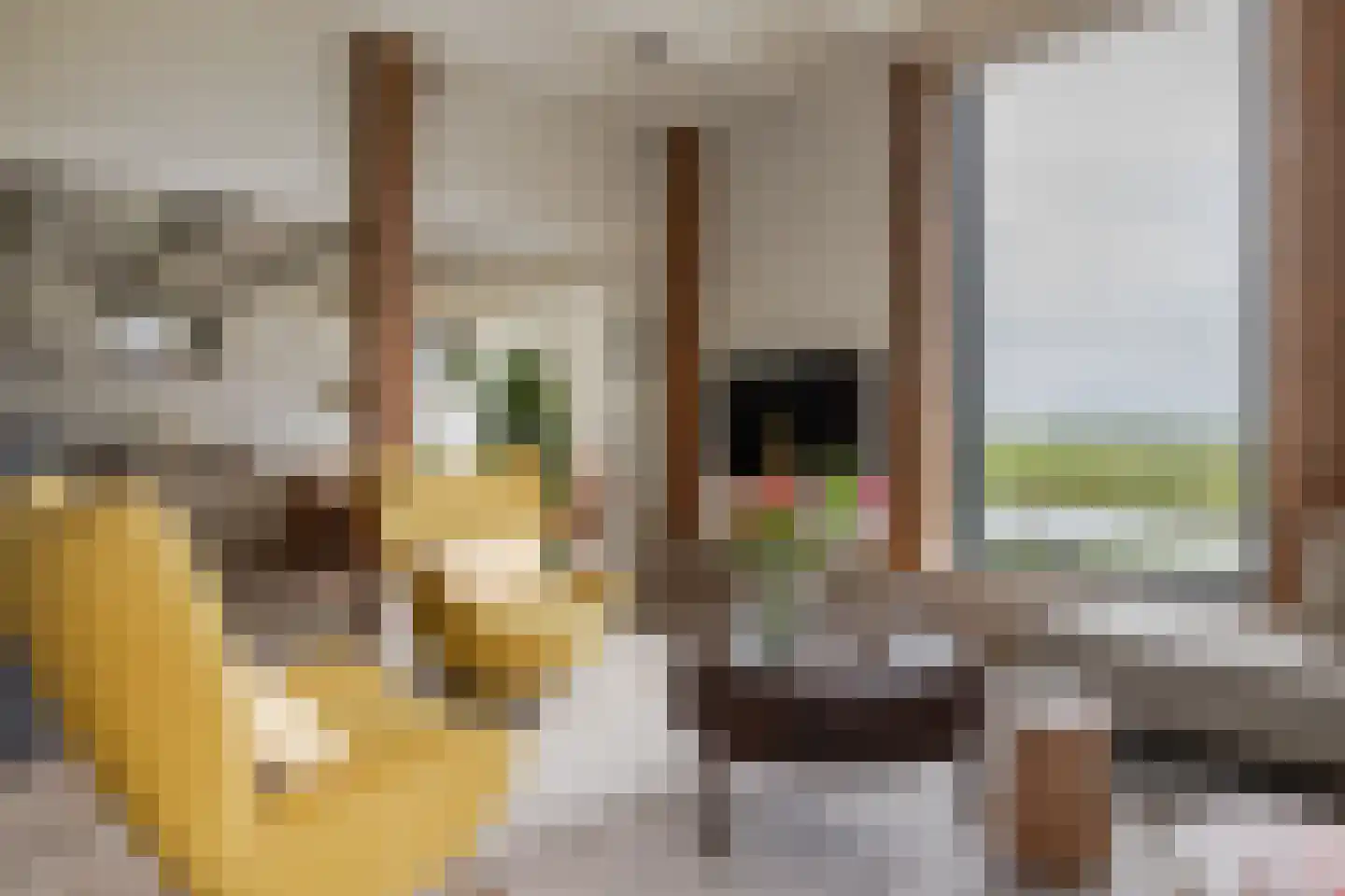 Dorpsstraat 15 Watergang thumbnail 5