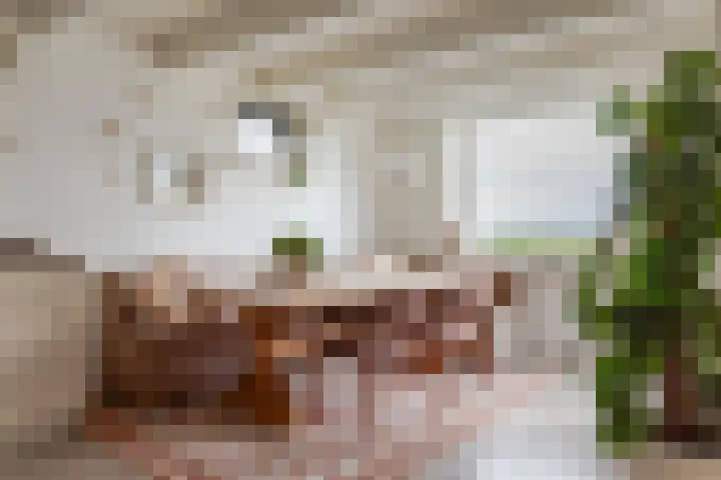 Dorpsstraat 15 Watergang thumbnail 9