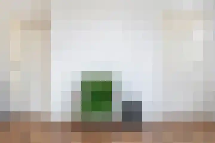 Dorpsstraat 15 Zoelmond thumbnail 10